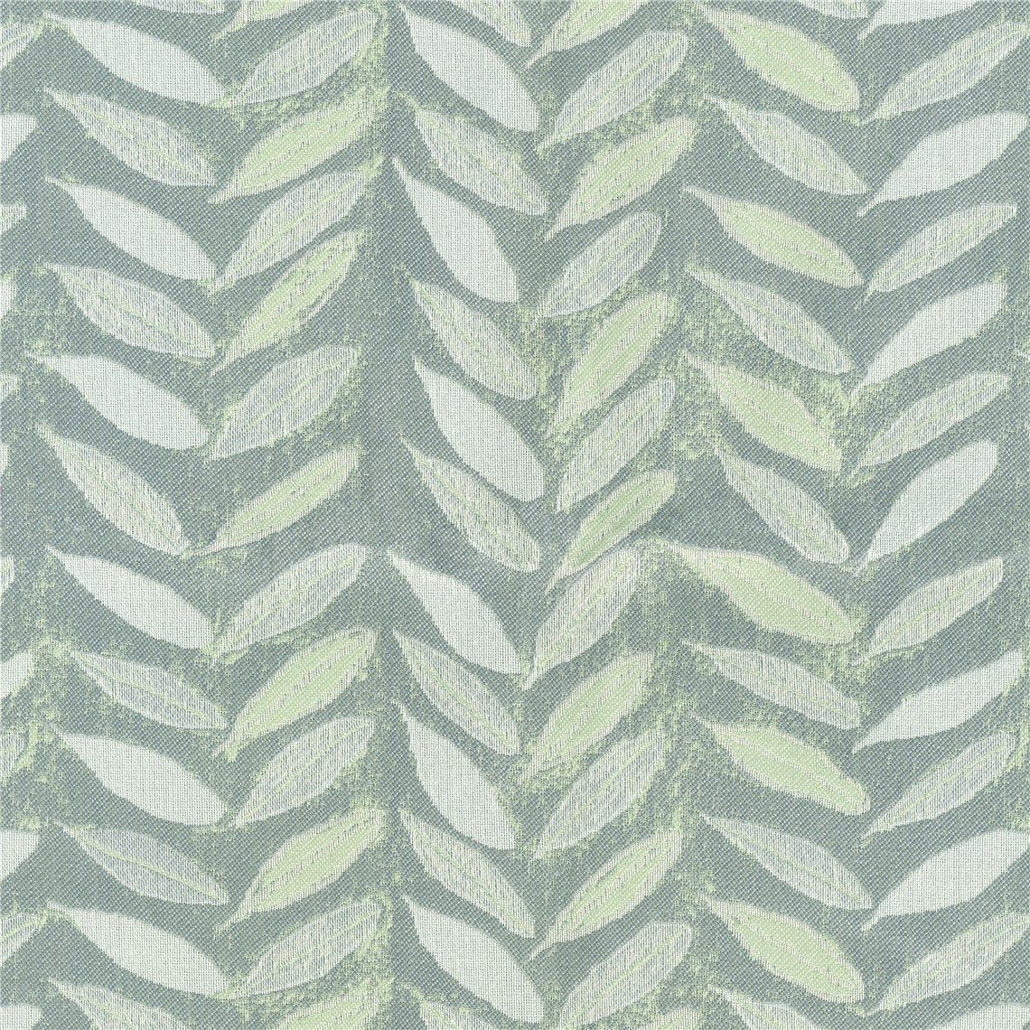Olive_Branch_Sky