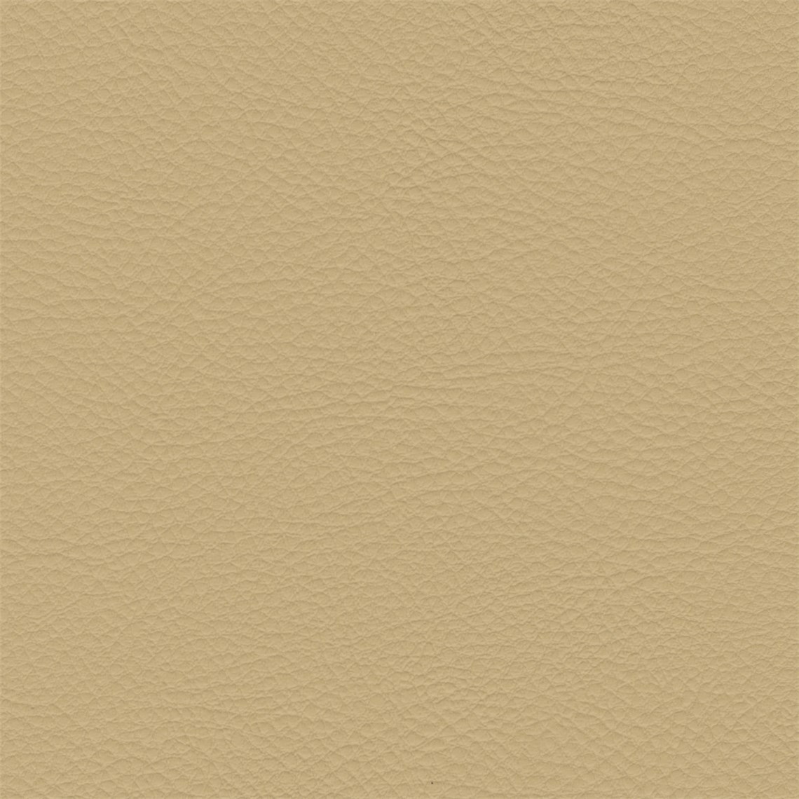 Palo_Alto_Coleridge