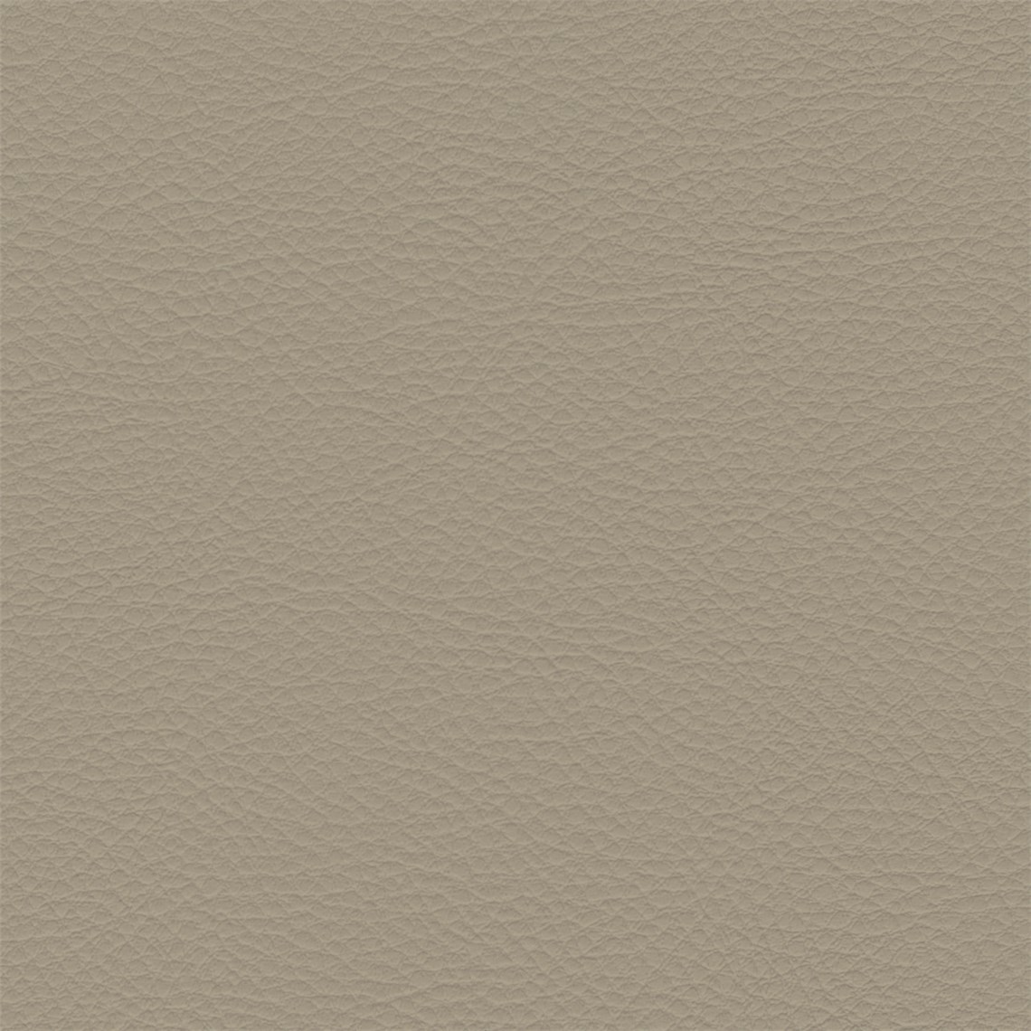 Palo_Alto_Kipling