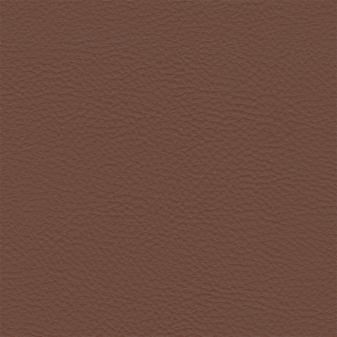Palo_Alto_Pulgas