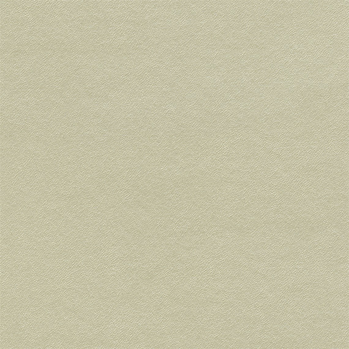 Pearlescent_Prosecco