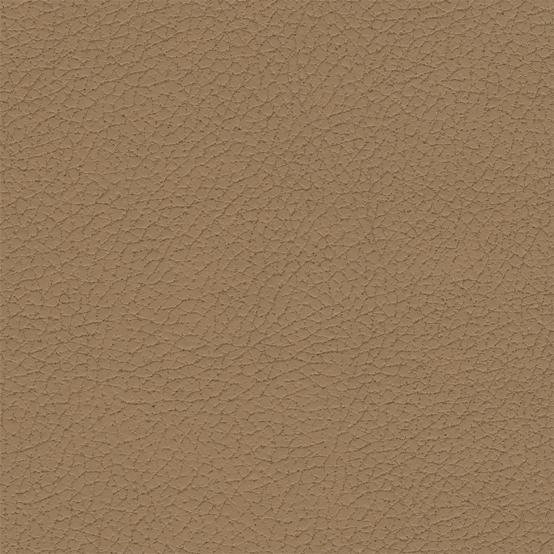 Pelle_Caramel