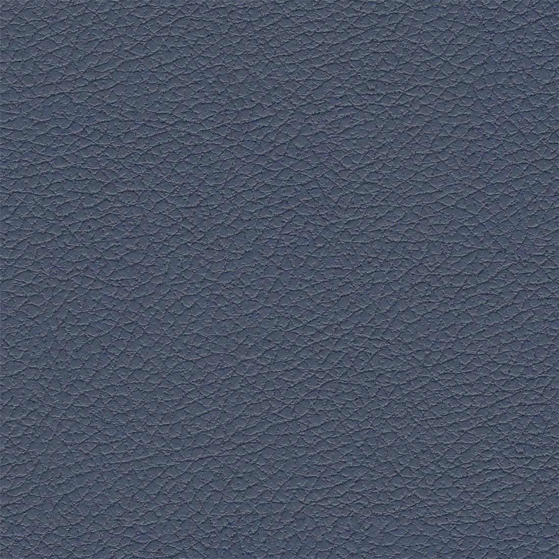 Pelle_Evening_Blue