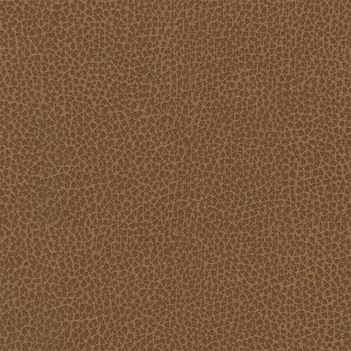 Percheron_Allspice