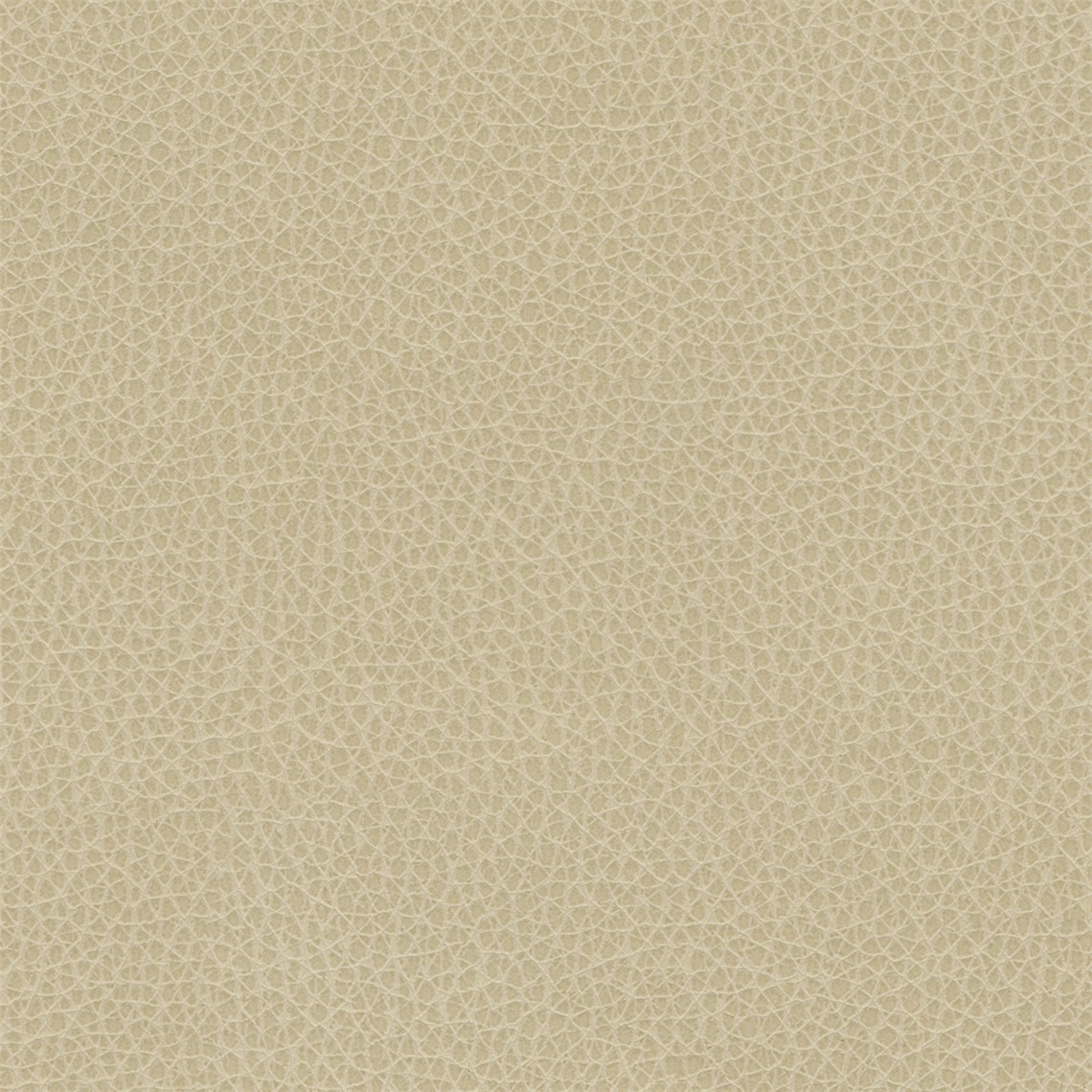 Percheron_Bisque