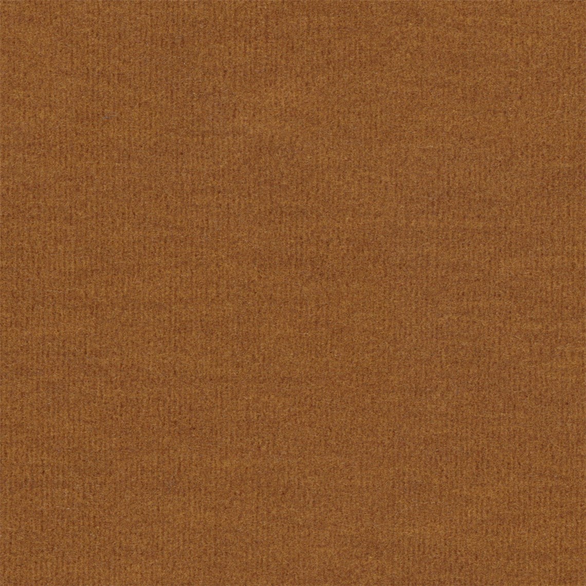 Picnique_Apple_Cider