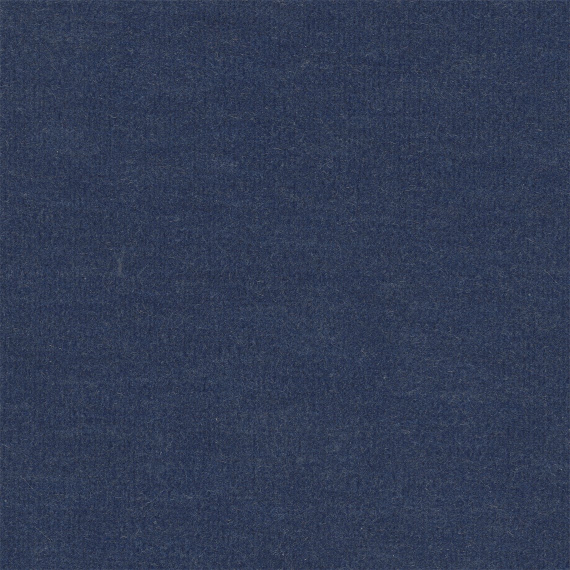 Picnique_Blue_Marlin