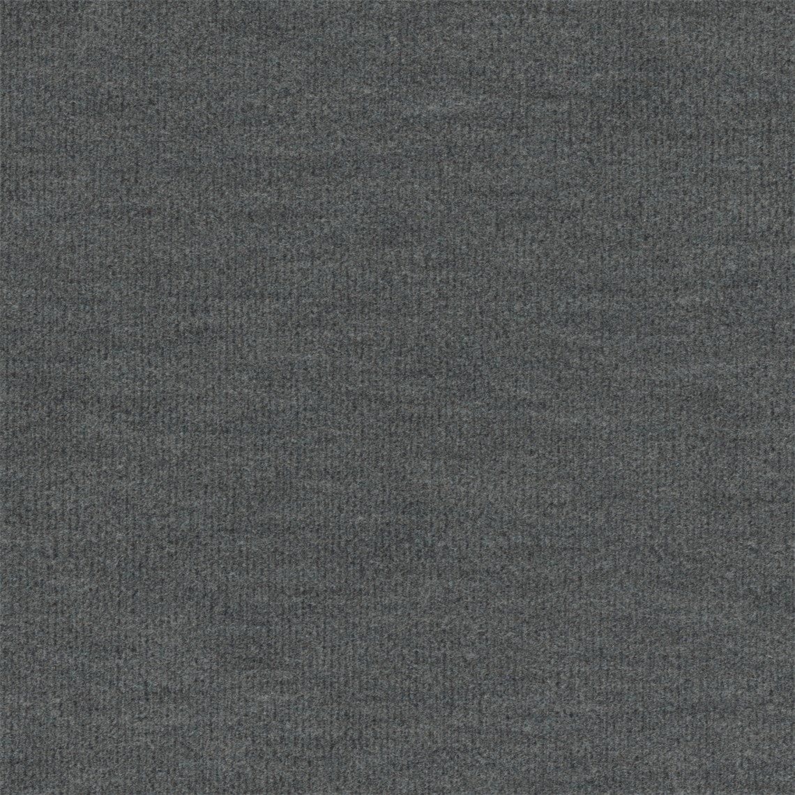 Picnique_Oyster
