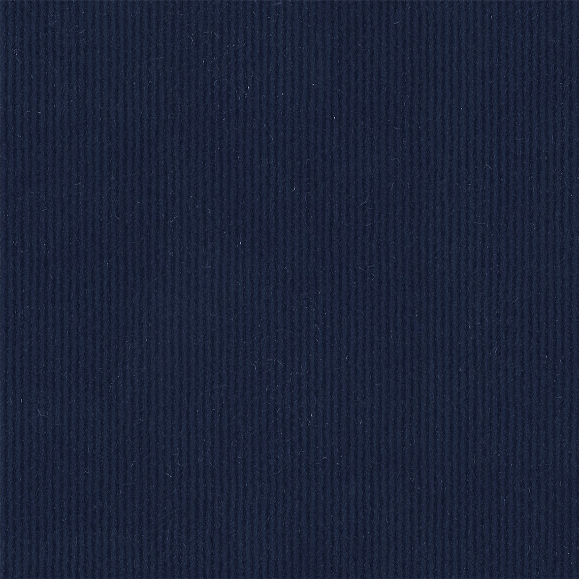 Pinwale_Orbit
