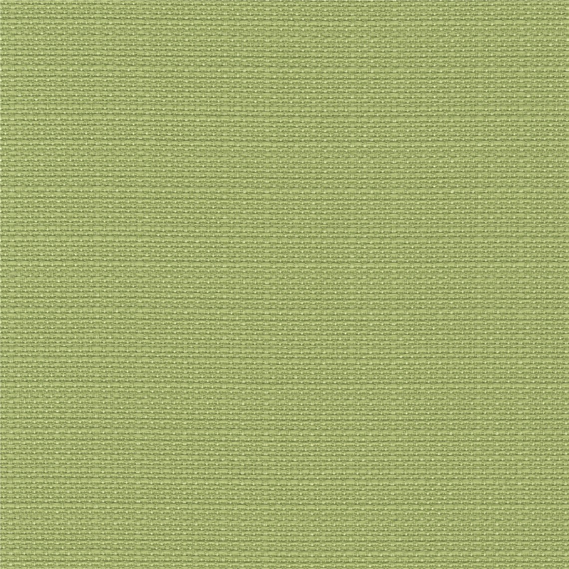 Pinyon_Fennel