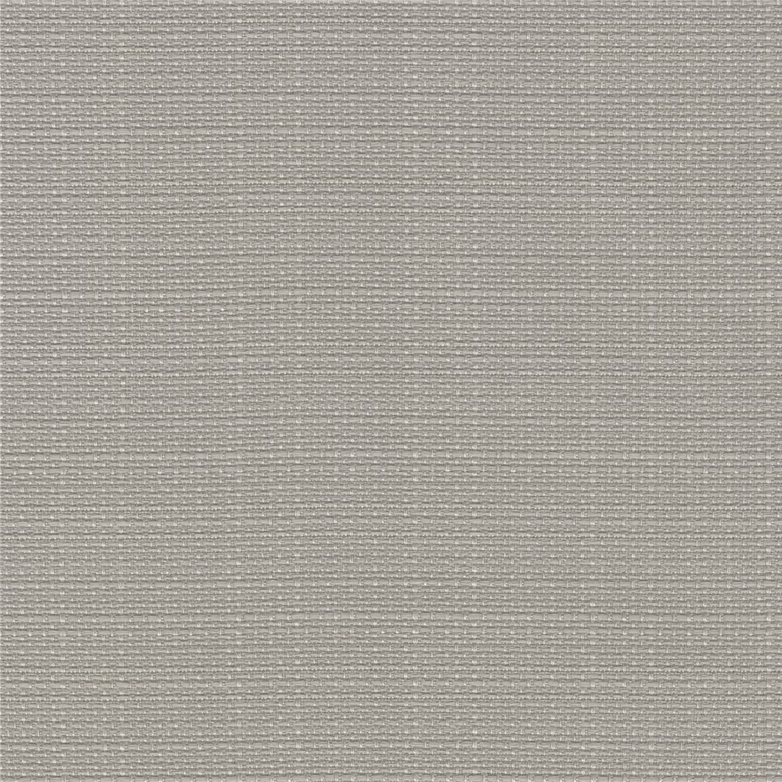 Pinyon_Oyster