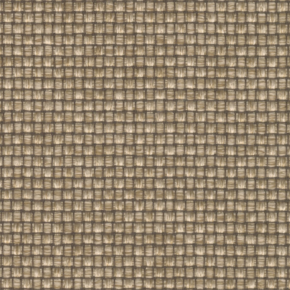 Plaited_Mushroom