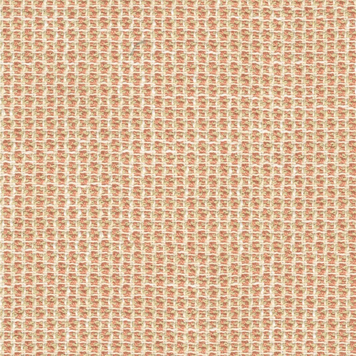 Poise_Coral