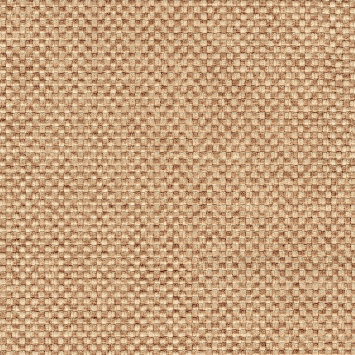 Poplin_Cola