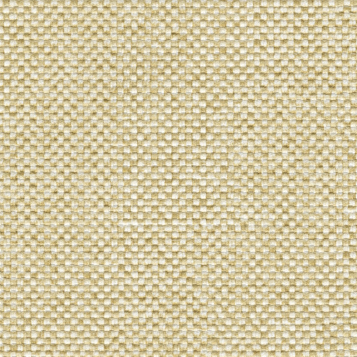 Poplin_Ginger_Ale