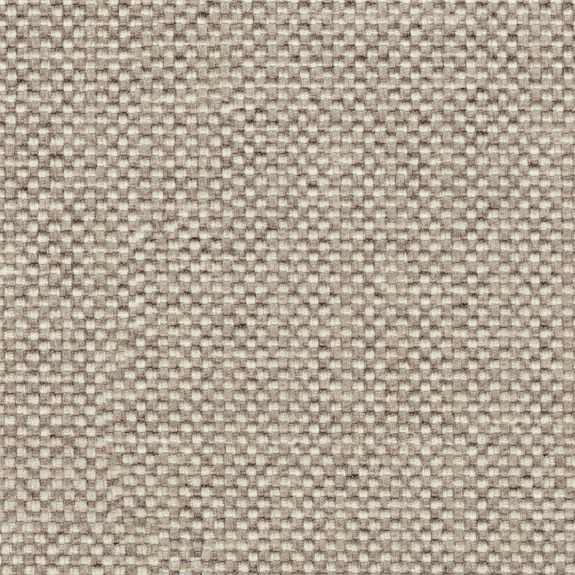 Poplin_Root_Beer