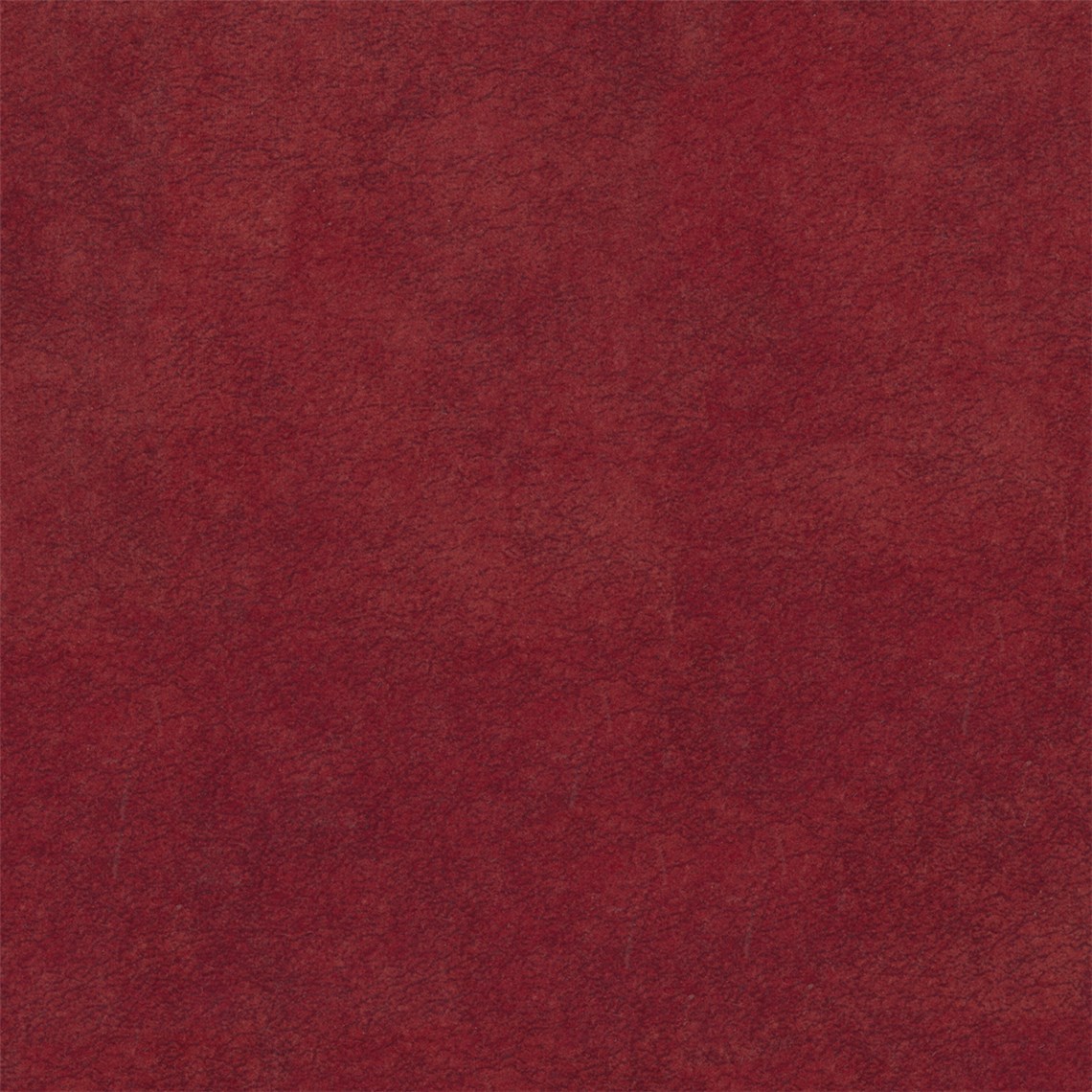 Purebrindle_Cardinal