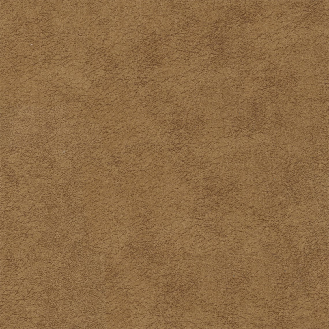 Purebrindle_Maple