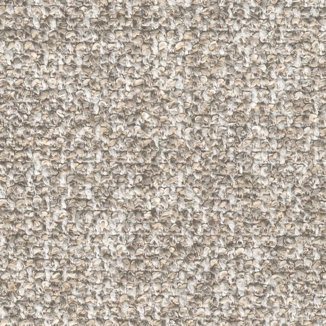Purecurlicue_Canvas