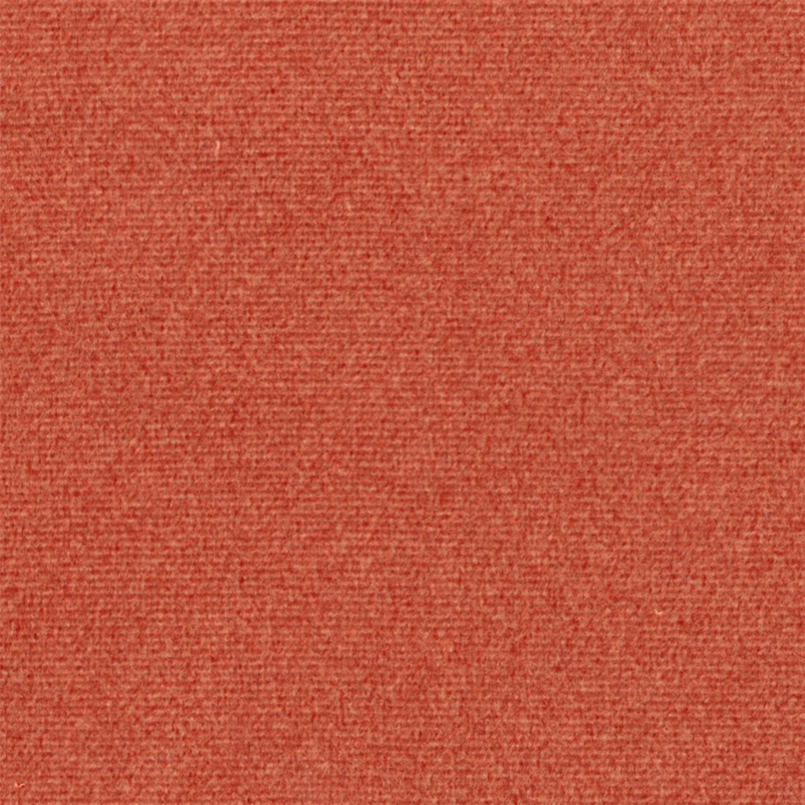 Purefelt_Pumpkin
