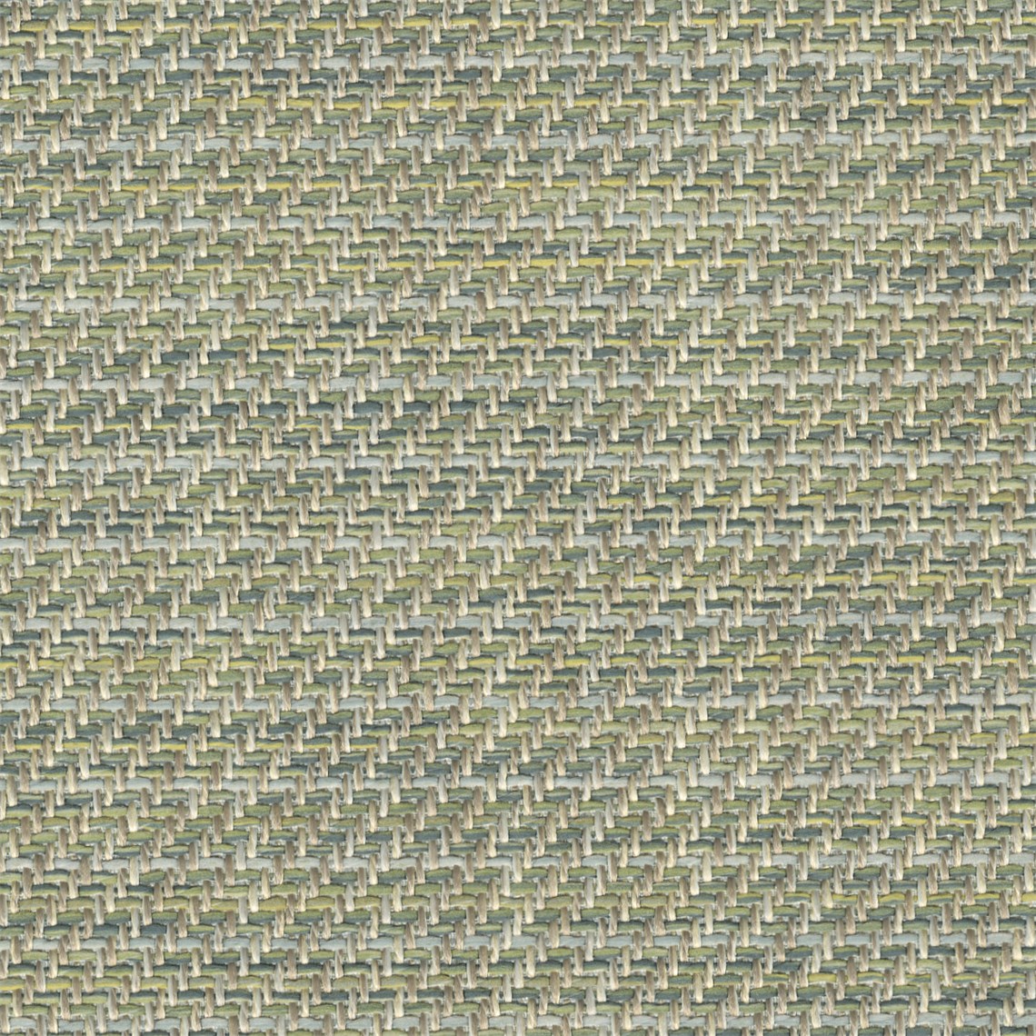 Puretwill_Oasis