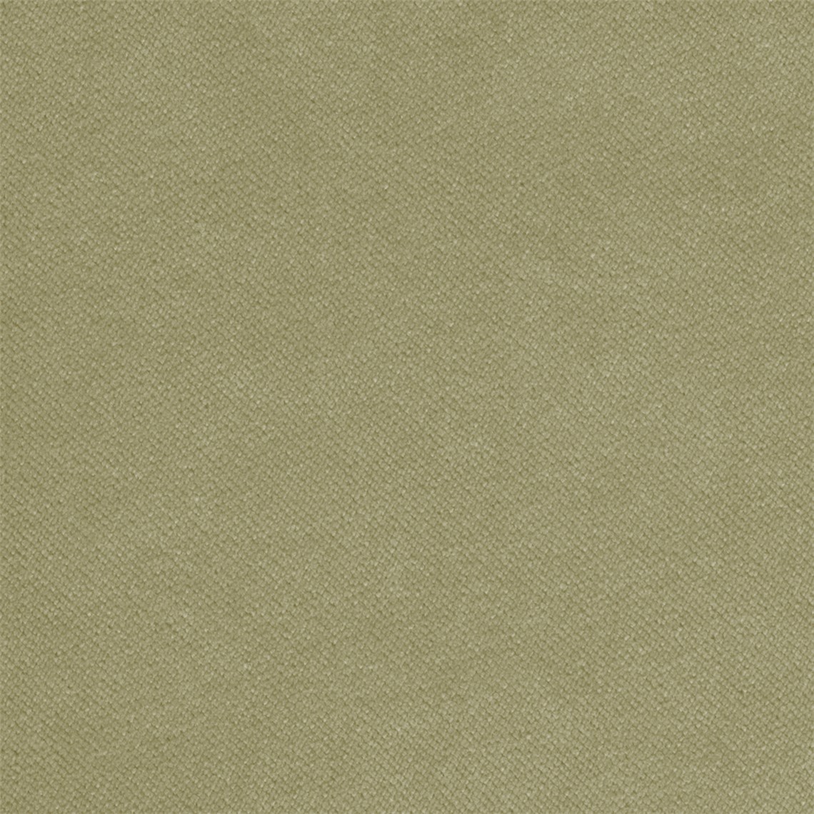 Purevelvet_Olive