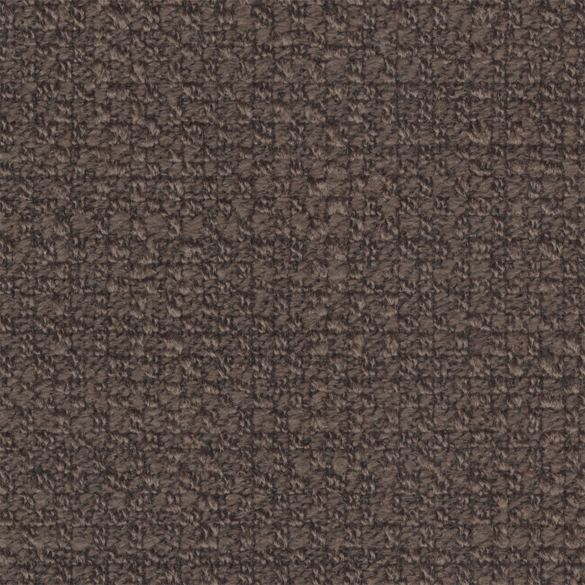 Reed_Belgian