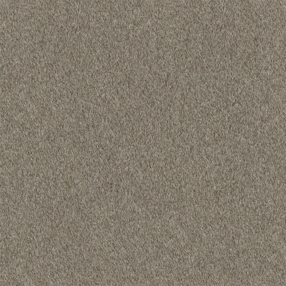 Reel_Alpaca_Brown