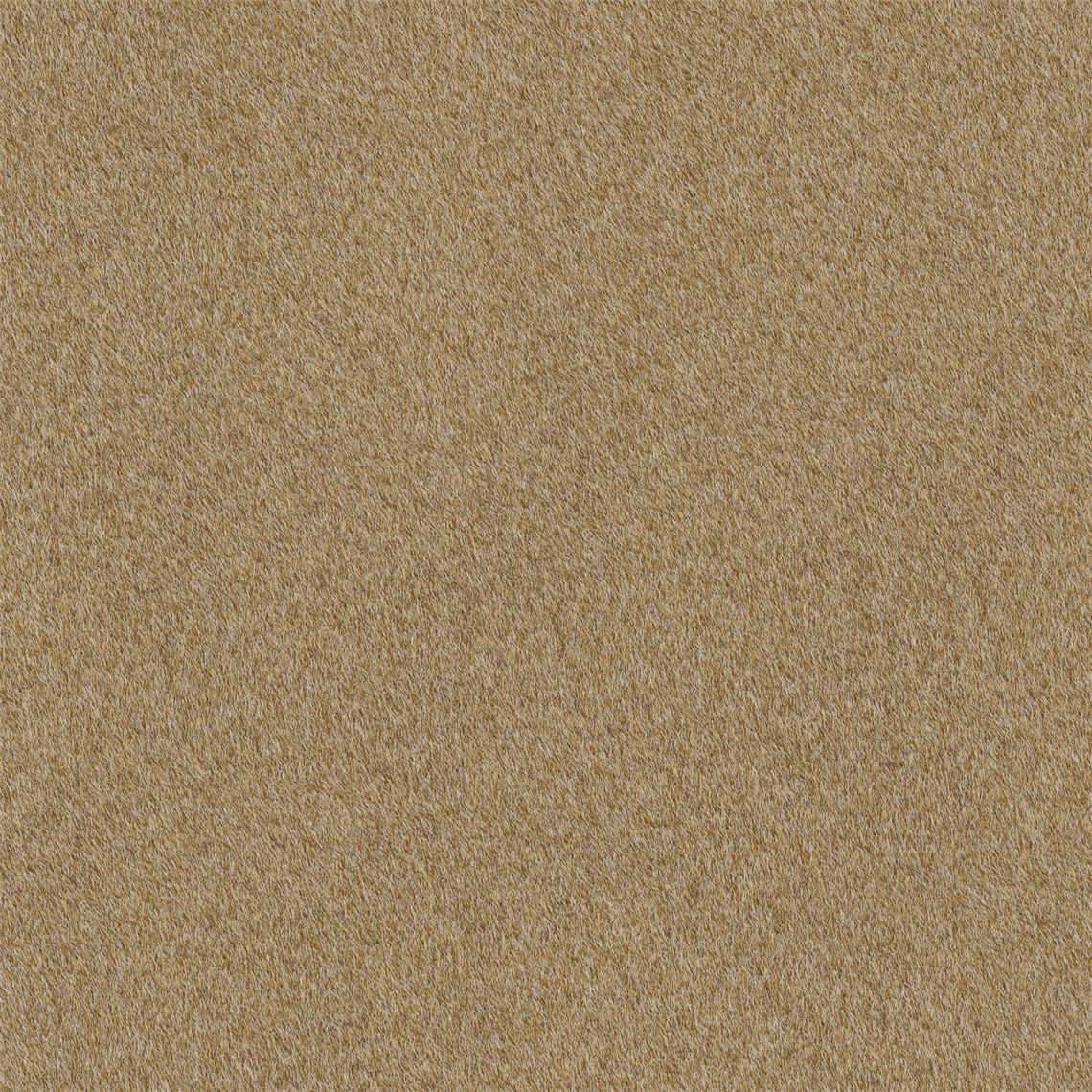 Reel_Alpaca_Camel