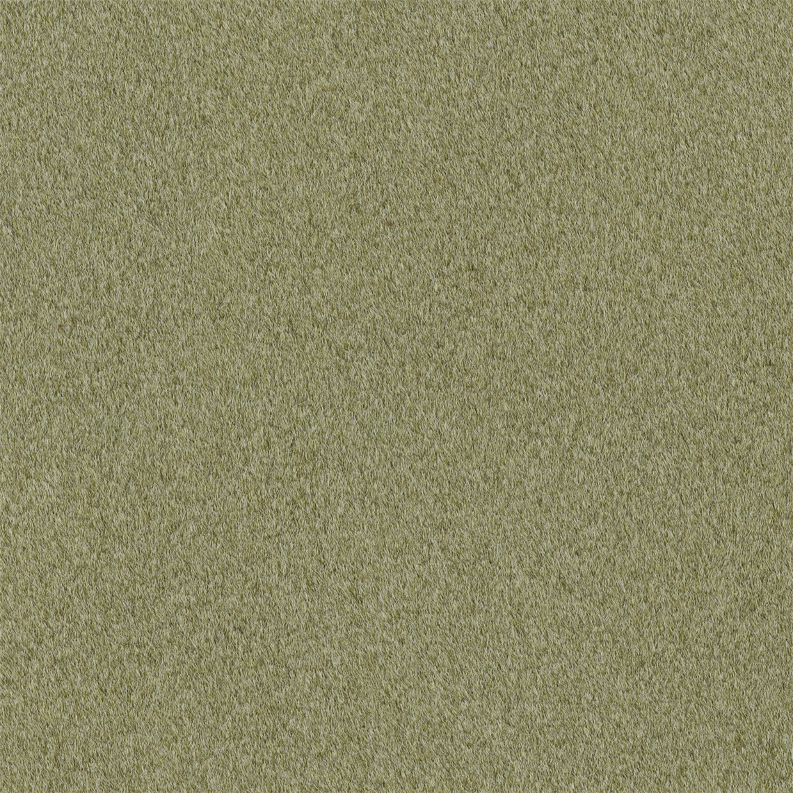 Reel_Alpaca_Herb