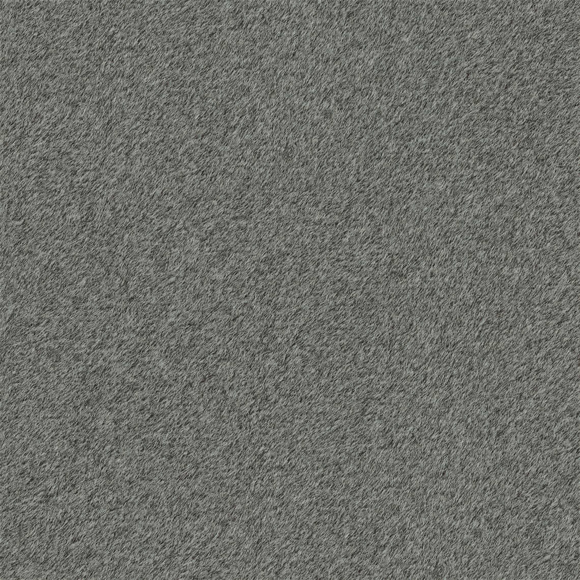 Reel_Alpaca_Slate