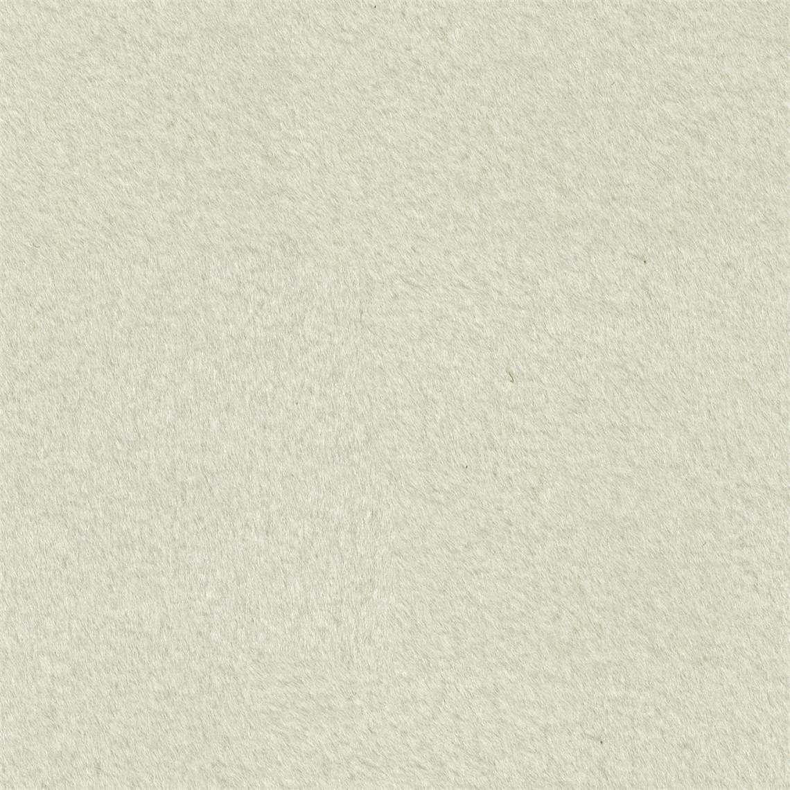 Reel_Alpaca_White