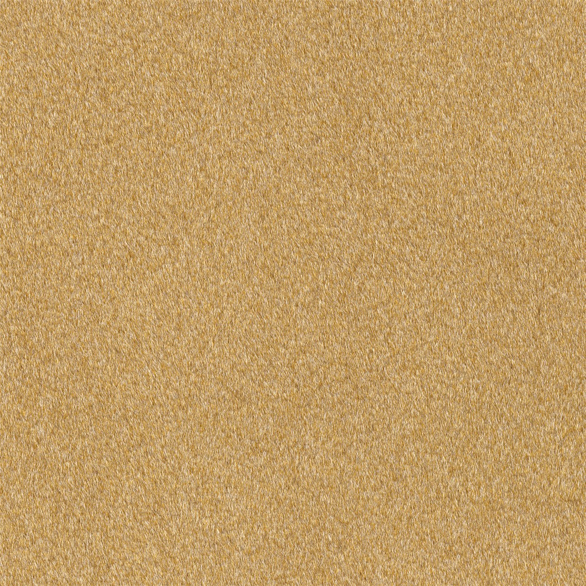Reel_Alpaca_Yellow