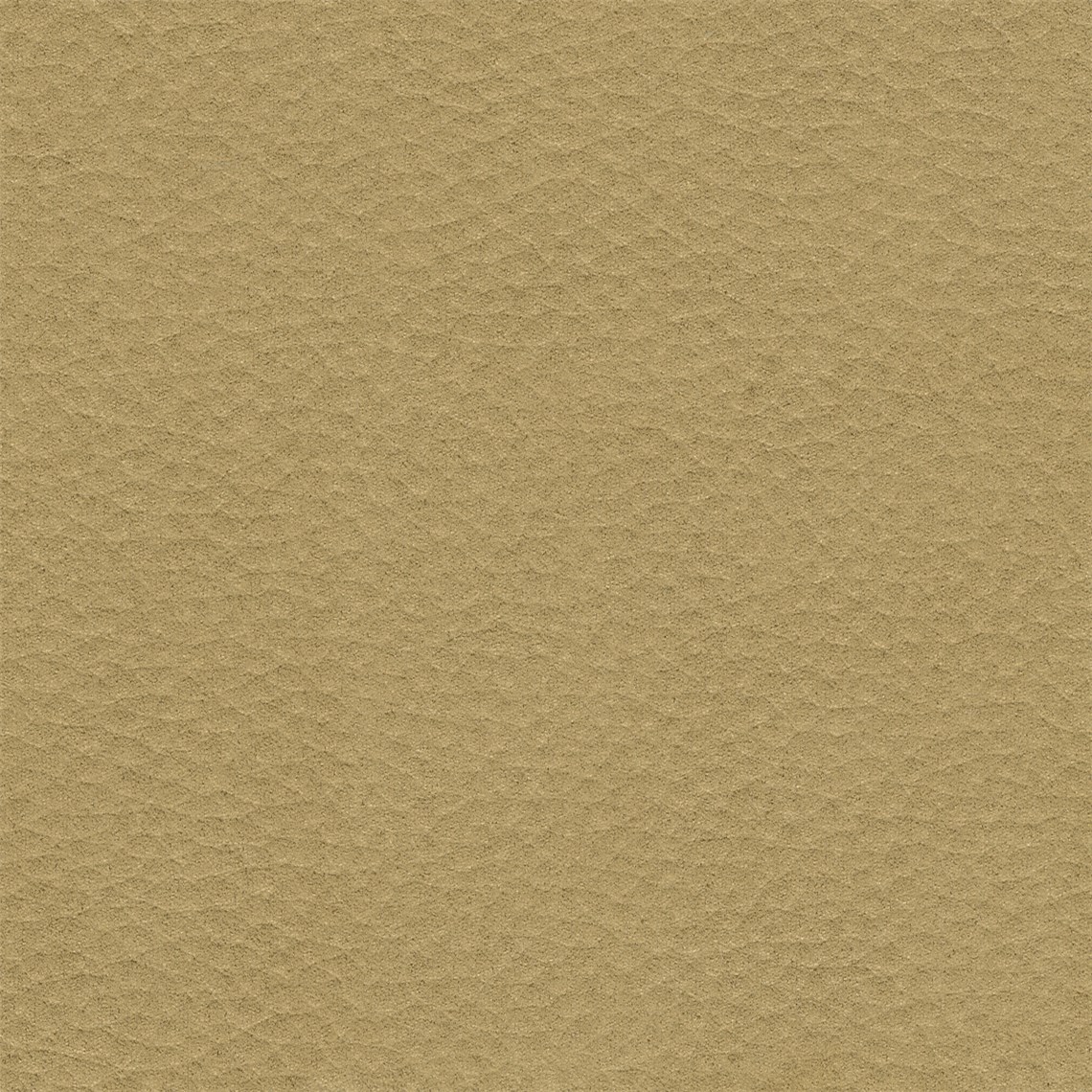 Reel_Suede_Chamois