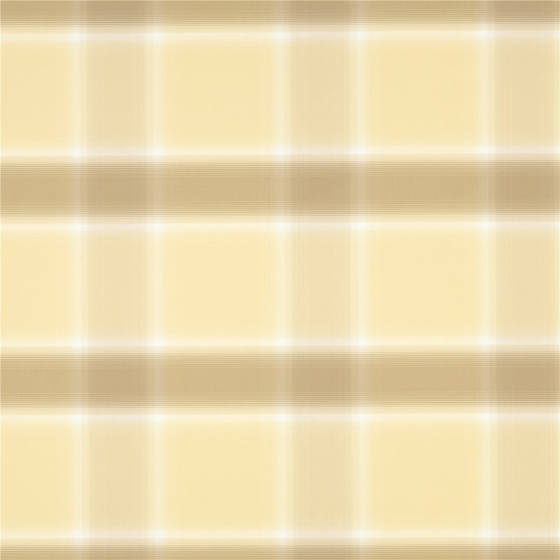 Rx_1001_Honey