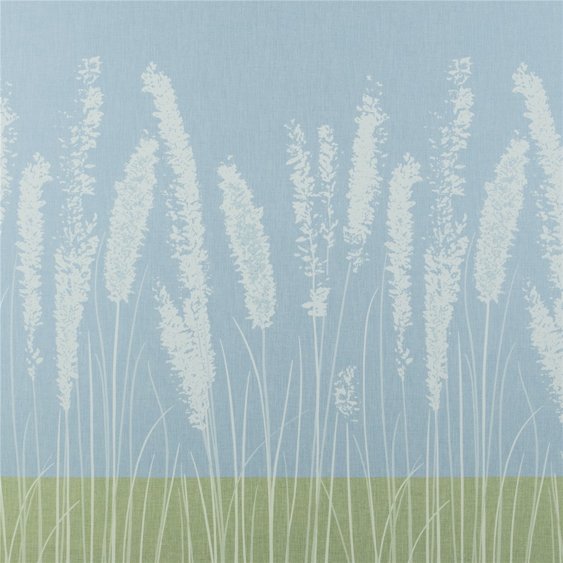 Rx_4001_Cornflower