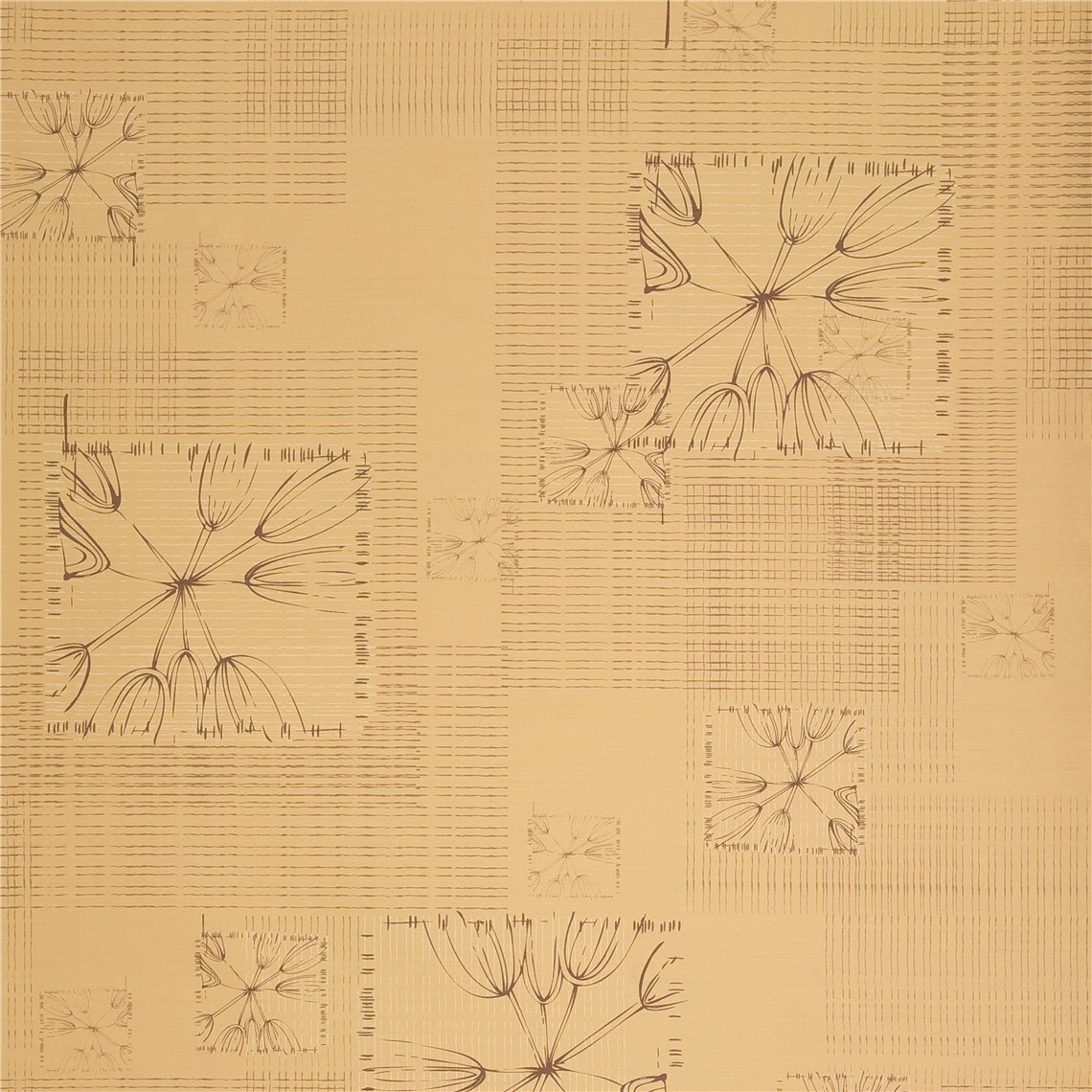 Rx_6009_Dandelion