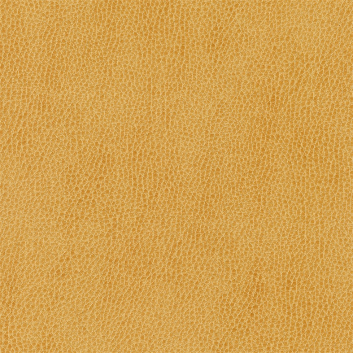Ryder_Mustard