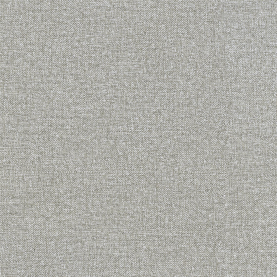 Salk_Fog