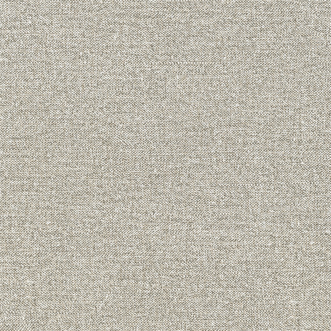 Salk_Greige