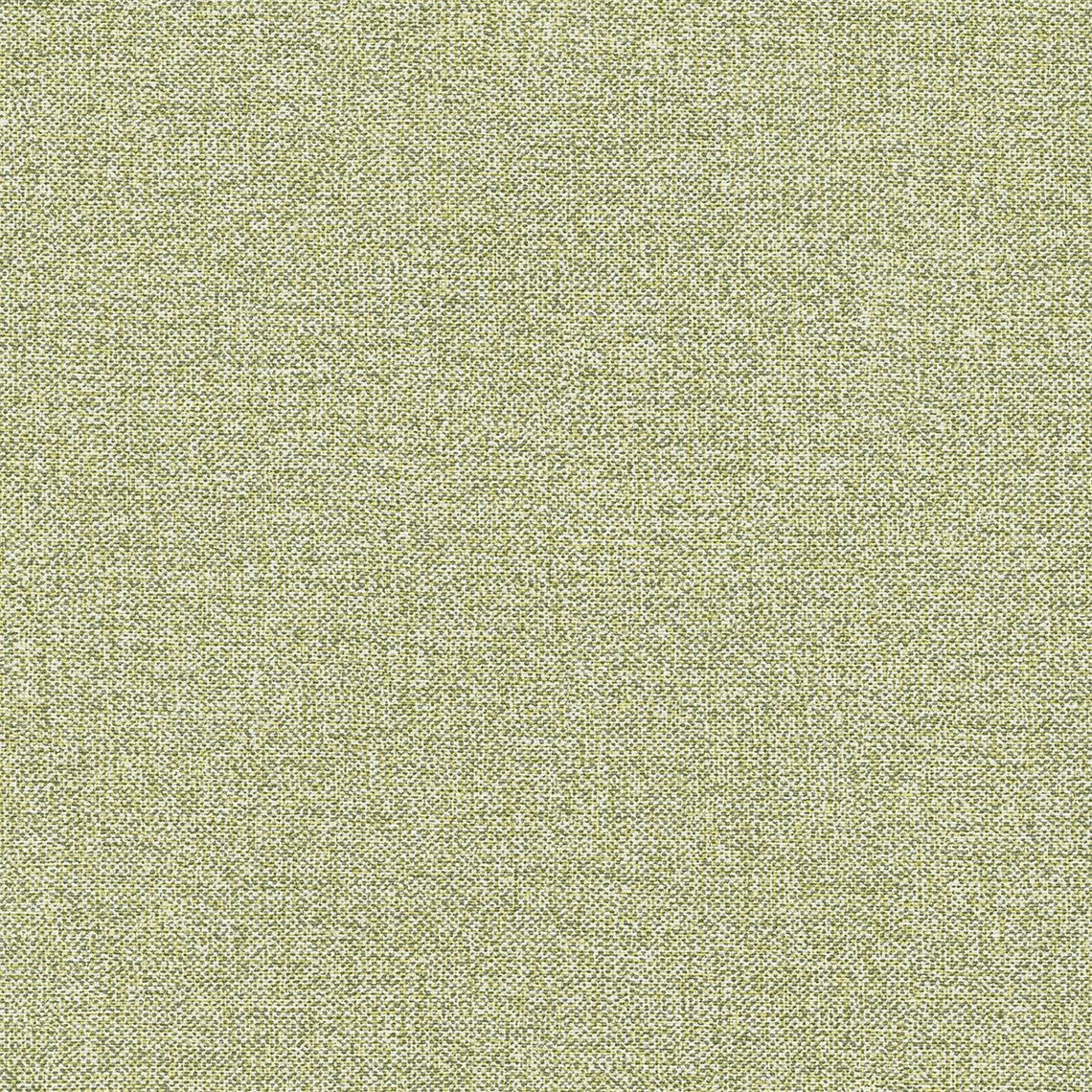 Salk_Meadow