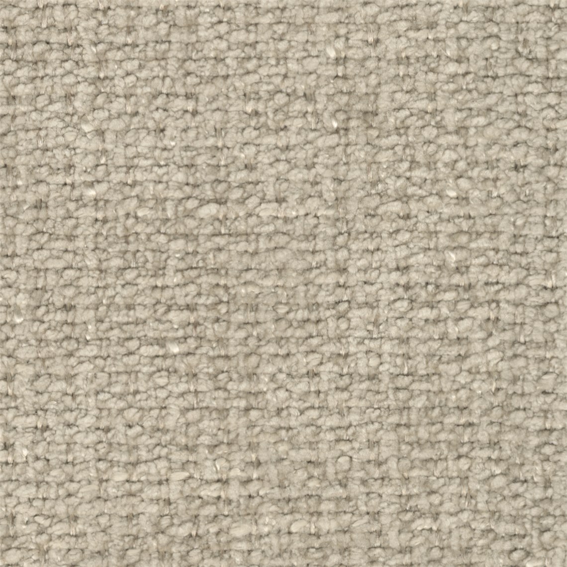 Salter_Beige
