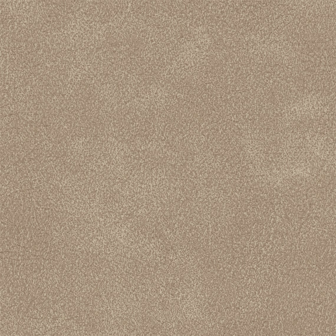 Sandwashed_Calpurina