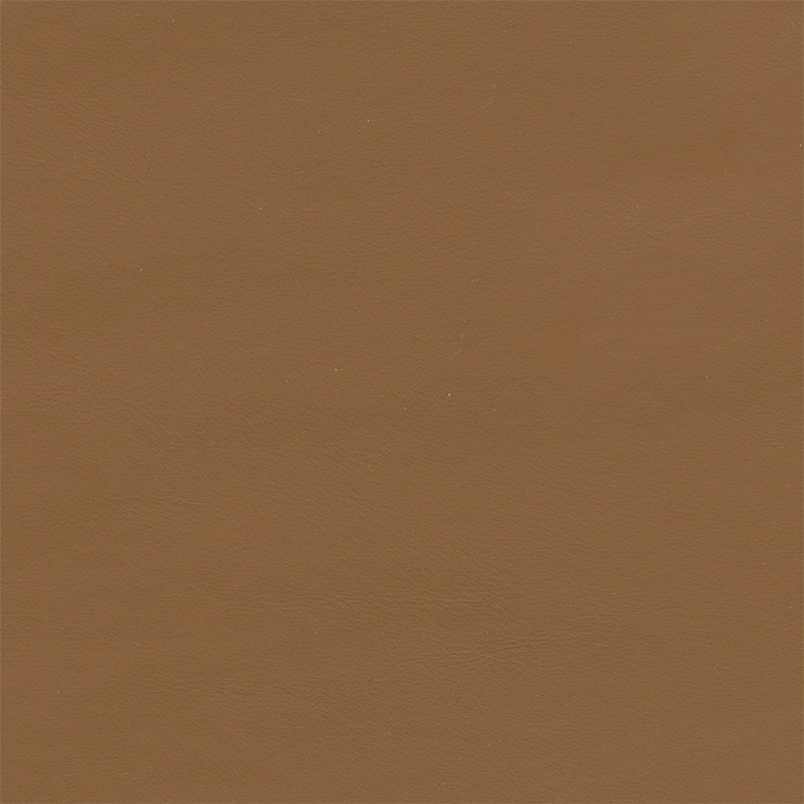 Science_Chestnut
