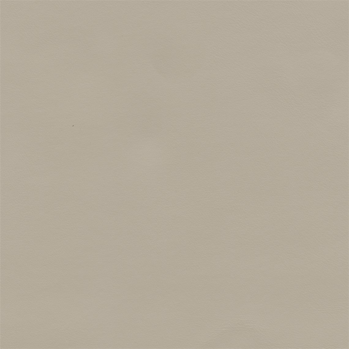 Science_Froth