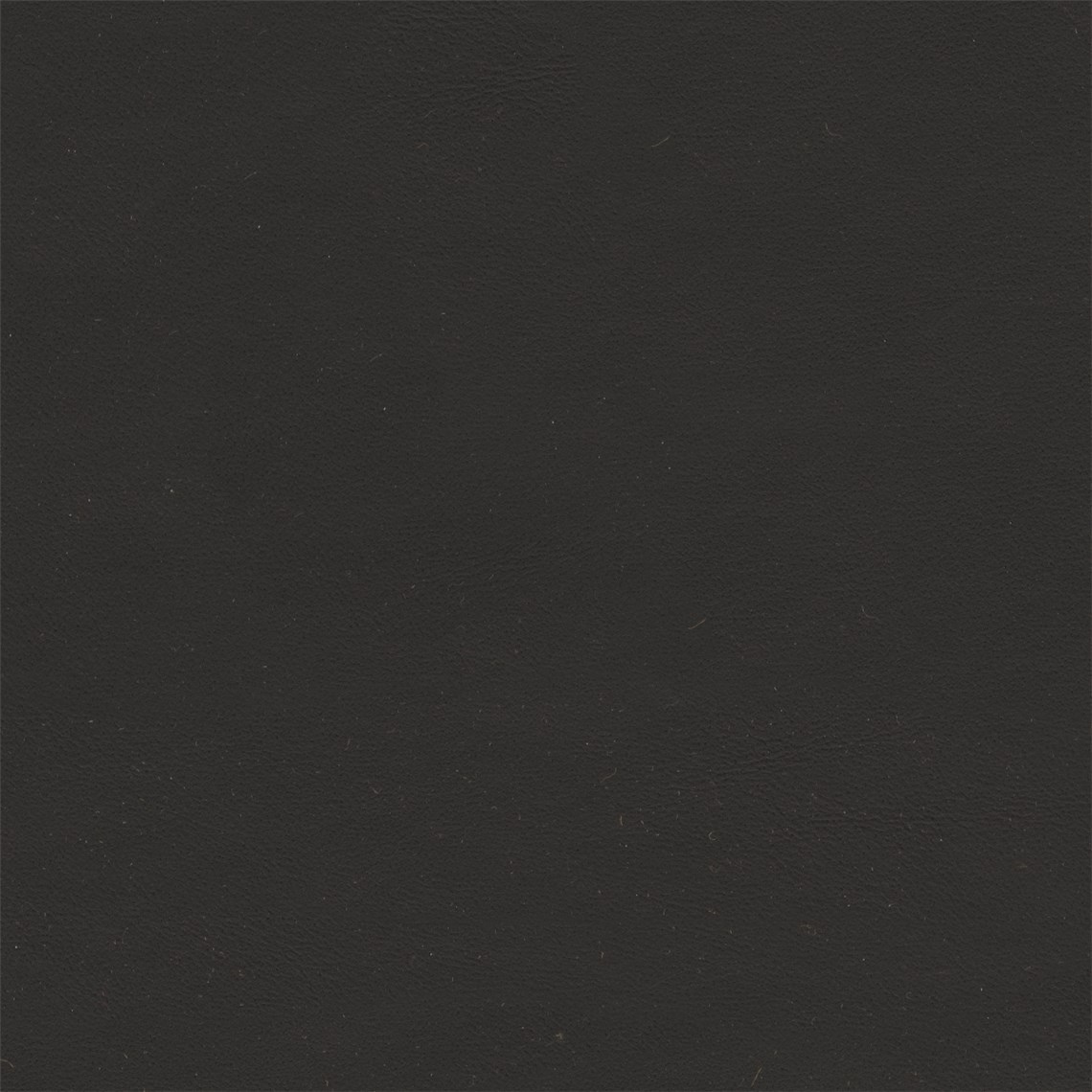 Science_Sarsaparilla