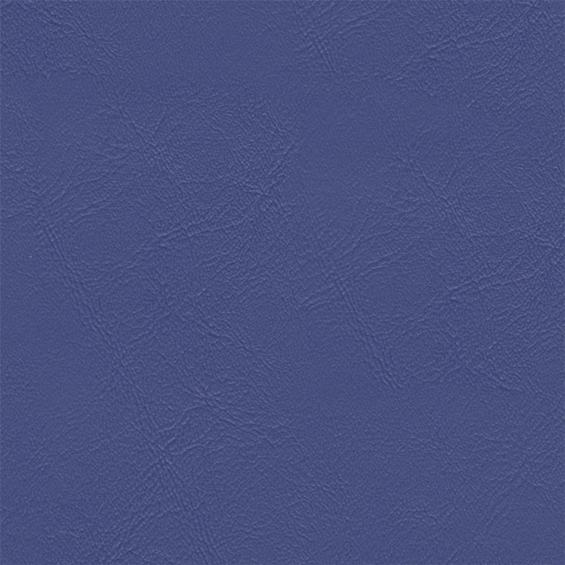 Sightsee_Cornflower
