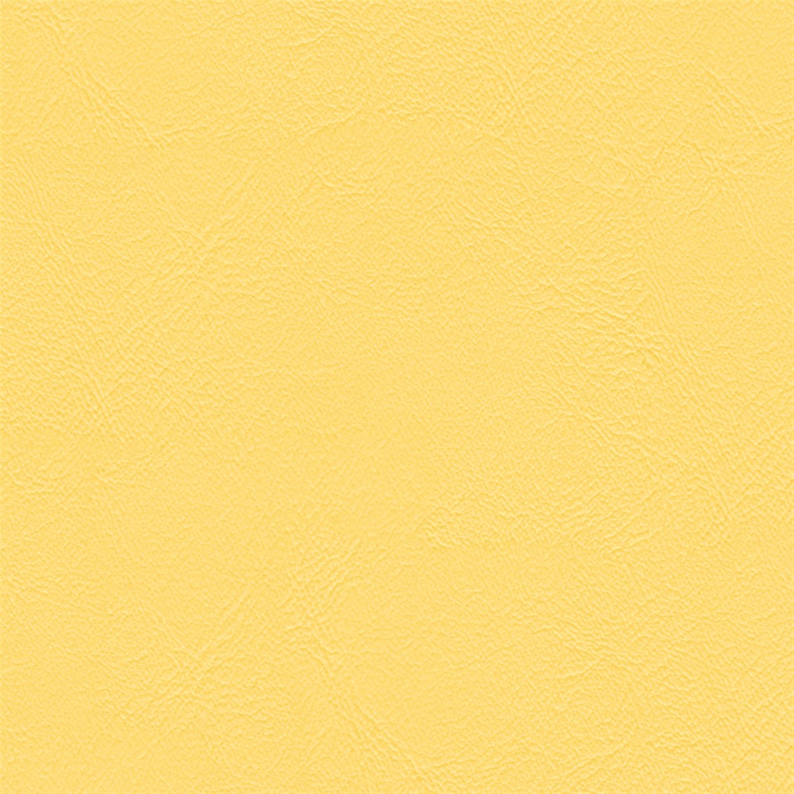 Sightsee_Finch