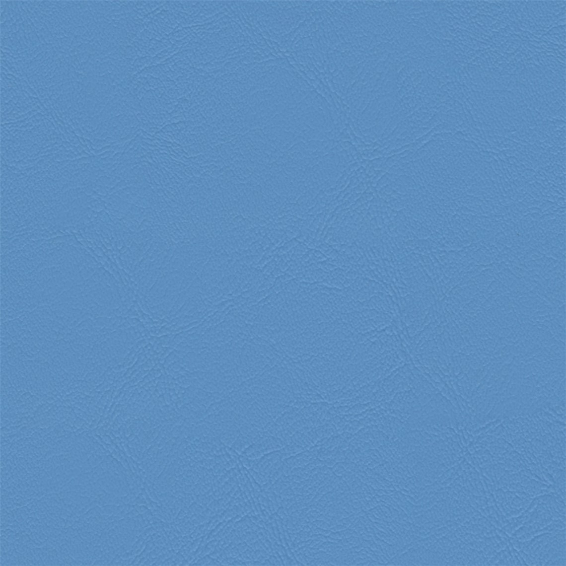 Sightsee_Sea_Holly