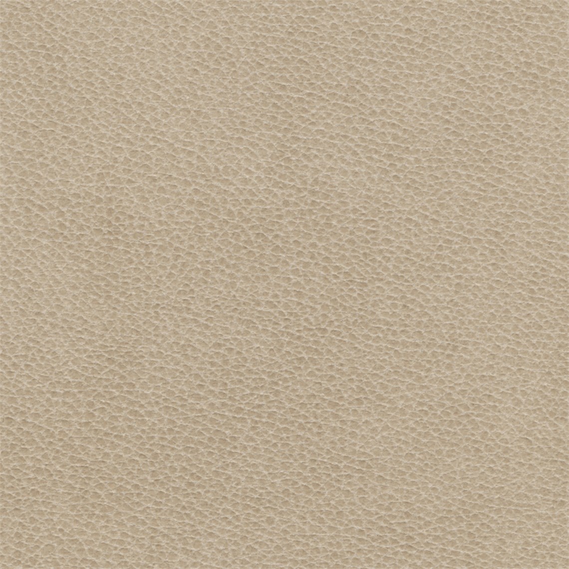 Silicone_Swayed_Canvas